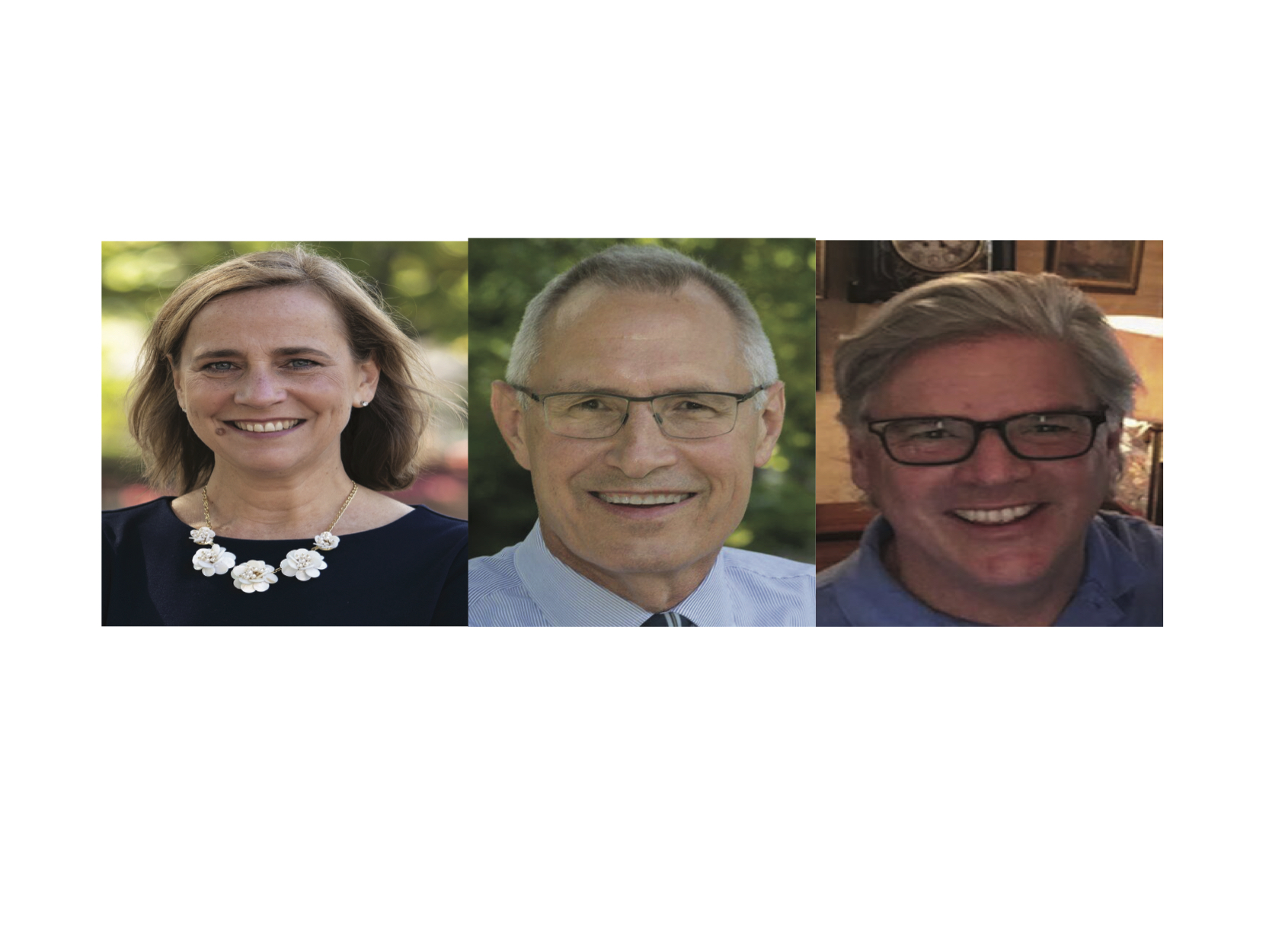 Our Endorsed Candidates for 2019! New Hampshire AFLCIO